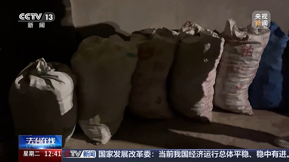 法治在线丨现场查获78袋！团伙盗掘3.5吨古生物化石获刑