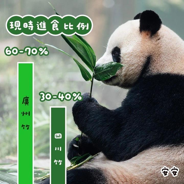 教你一招 如何分辨“安安”“可可”