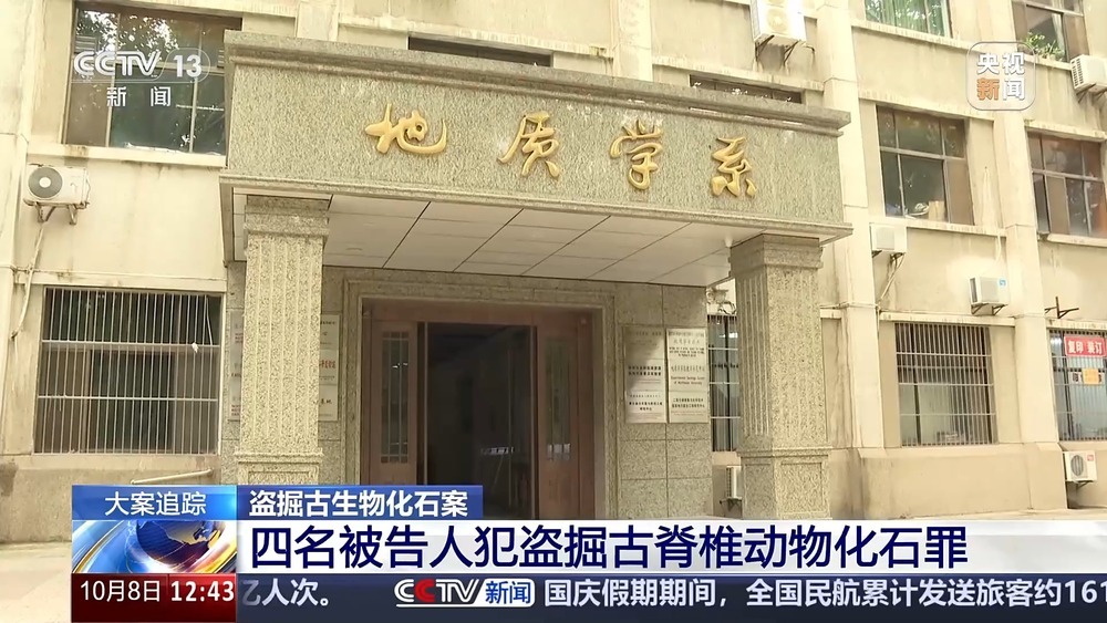 法治在线丨现场查获78袋！团伙盗掘3.5吨古生物化石获刑