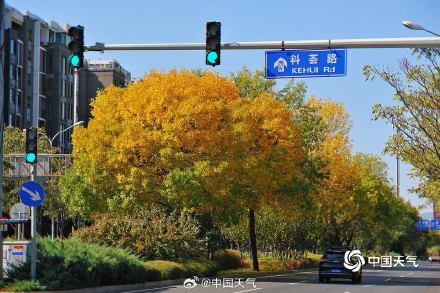 北京秋天的饱和度逐渐拉满
