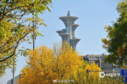 北京秋天的饱和度逐渐拉满