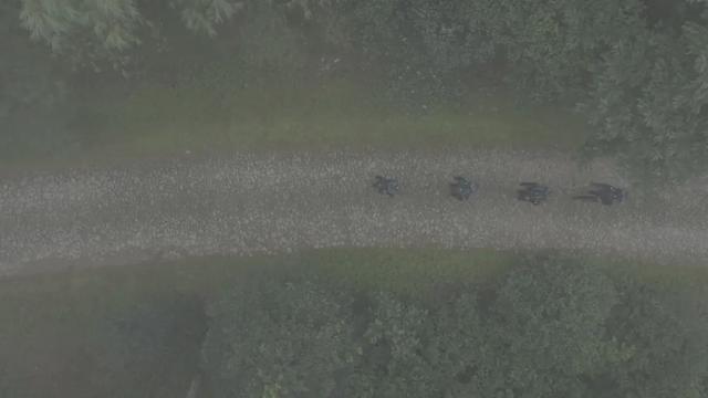 哀牢山到底哪些地方能去？警方提示→