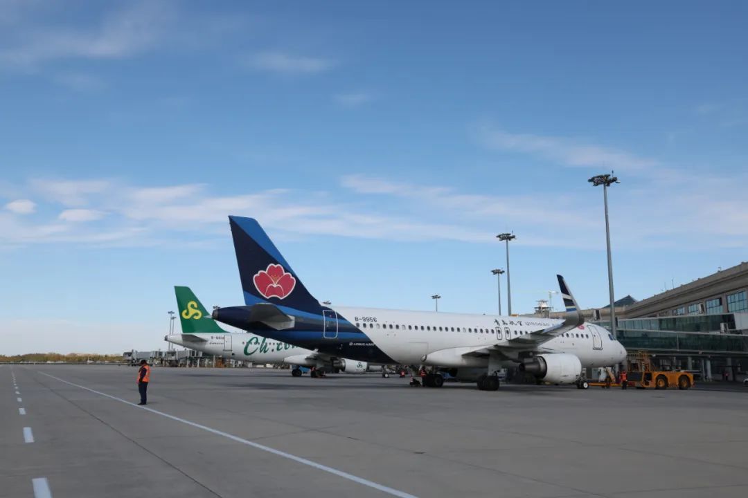 哈尔滨机场黄金周运送旅客50余万人次