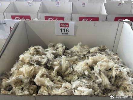 中国人每年买走八成澳大利亚羊毛，而且这个数字还在涨