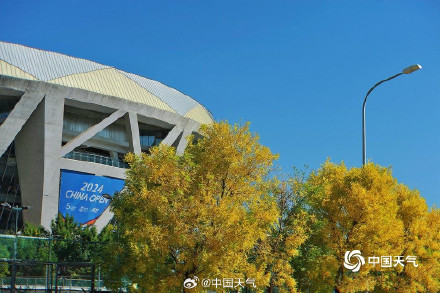 北京秋天的饱和度逐渐拉满