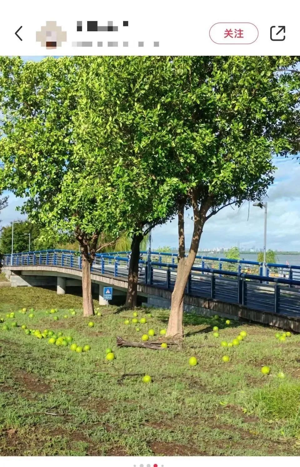 不要吃！不要捡！