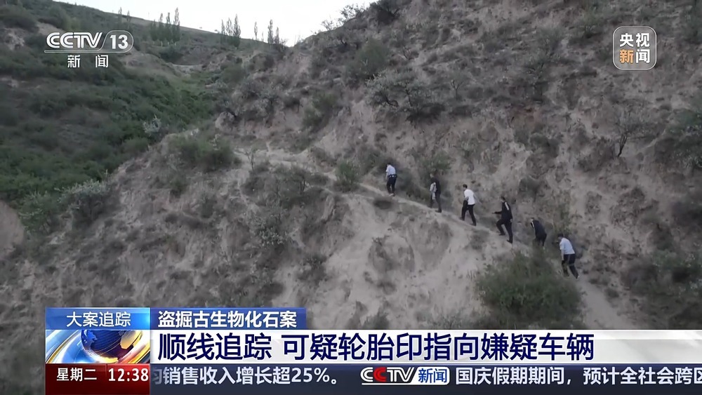 法治在线丨现场查获78袋！团伙盗掘3.5吨古生物化石获刑