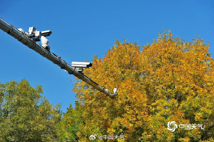 北京秋天的饱和度逐渐拉满
