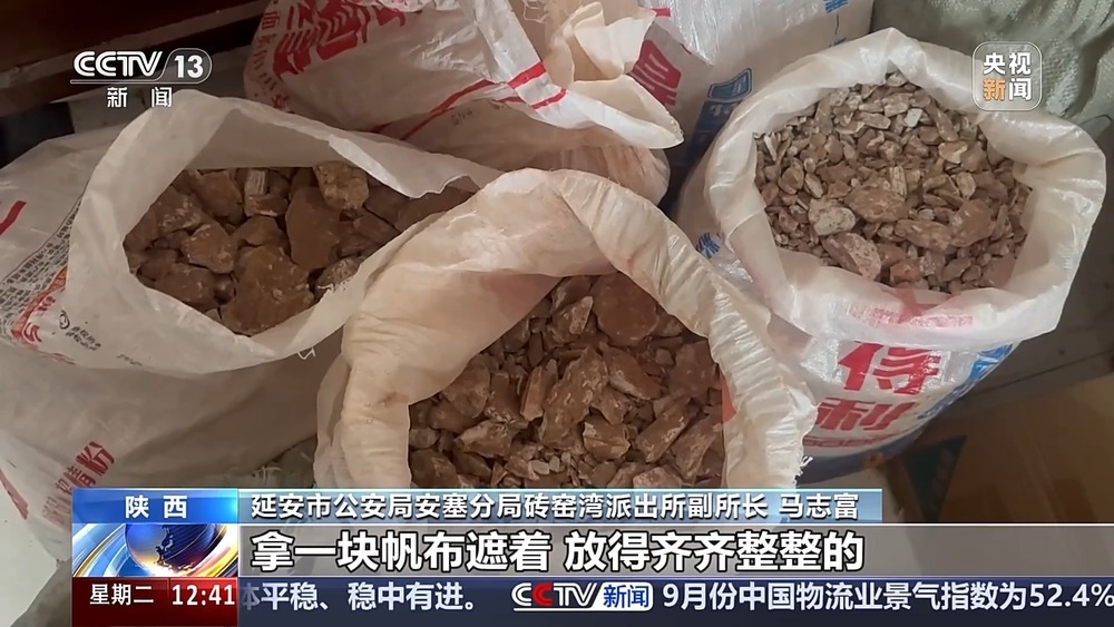 法治在线丨现场查获78袋！团伙盗掘3.5吨古生物化石获刑