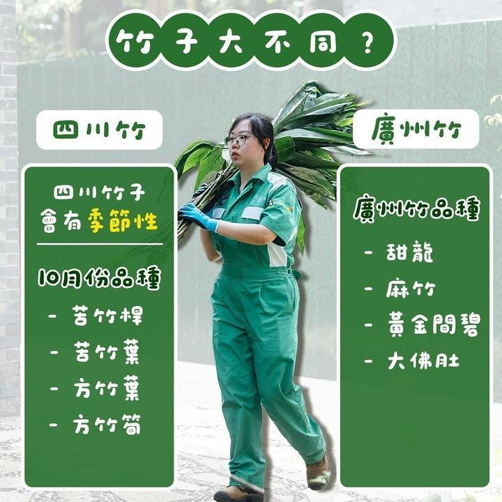 教你一招 如何分辨“安安”“可可”