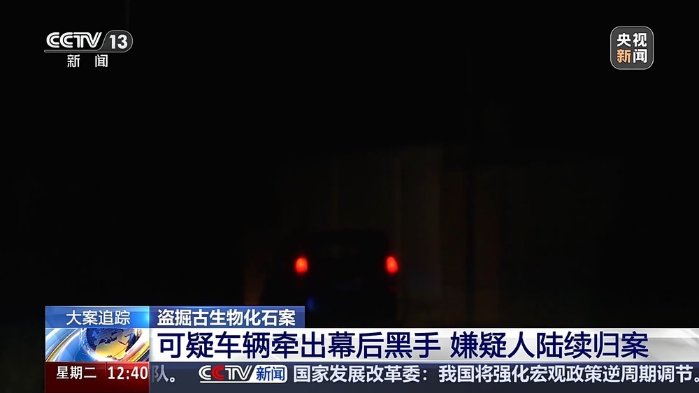 法治在线丨现场查获78袋！团伙盗掘3.5吨古生物化石获刑