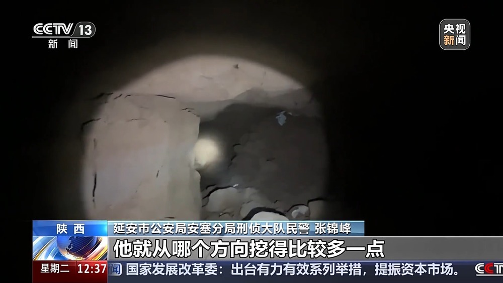 法治在线丨现场查获78袋！团伙盗掘3.5吨古生物化石获刑