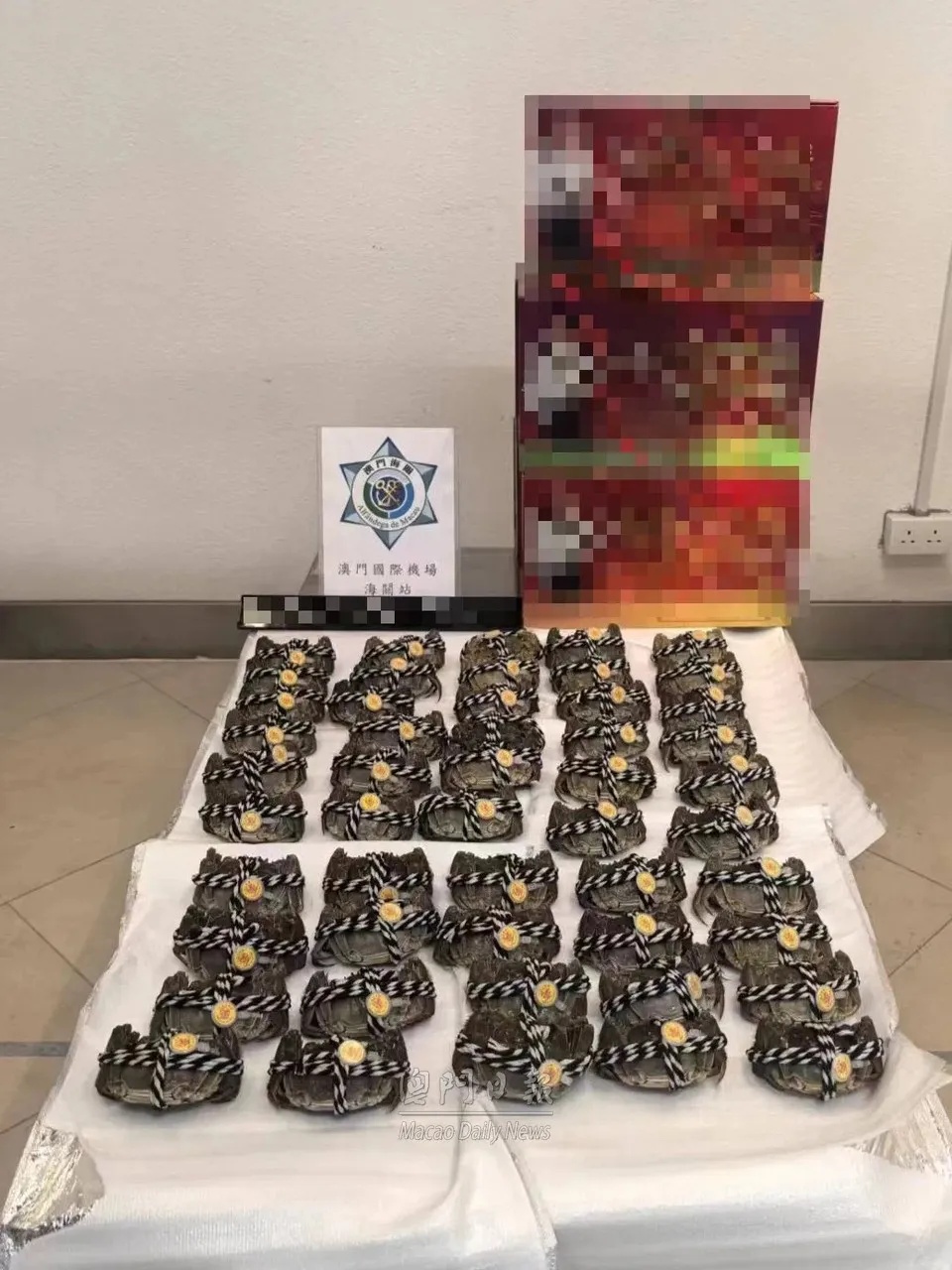 “蟹”绝入境,可能罚款10万澳门元 “蟹”绝入境,可能罚款10万澳门元