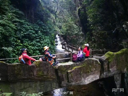 你会去哀牢山景区玩吗？