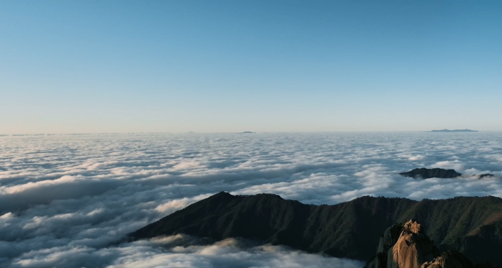 又有9座高铁站,新增这项服务! 又有9座高铁站,新增这项服务!