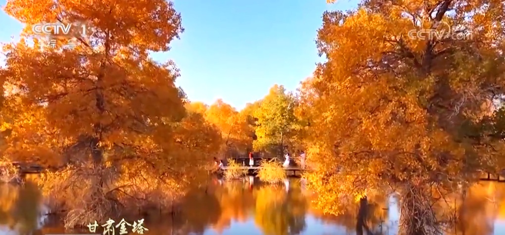 二十四节气·寒露｜斑斓的色彩、丰收的景象，惊艳了深秋