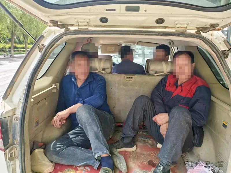 咦?他俩藏在了后备箱! 咦?他俩藏在了后备箱!