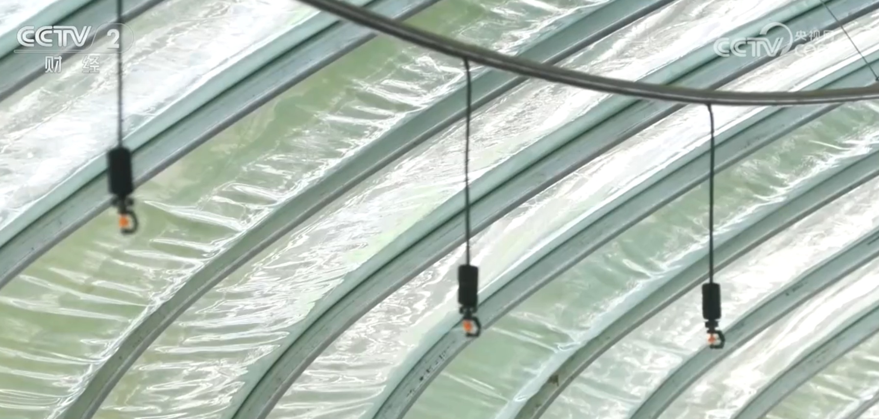 “米袋子”“菜篮子”“果盘子”满满当当 希望的田野上一片好“丰”光 “米袋子”“菜篮子”“果盘子”满满当当 希望的田野上一片好“丰”光