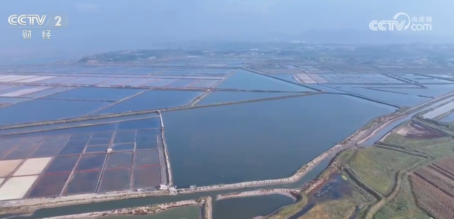 鱼虾满仓捕捞忙 “海上风电+海洋牧场”“盐田资源+自主繁育”显智慧 鱼虾满仓捕捞忙 “海上风电+海洋牧场”“盐田资源+自主繁育”显智慧