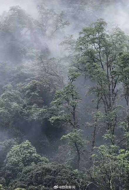徐霞客曾在哀牢山迷路 徐霞客曾在哀牢山迷路