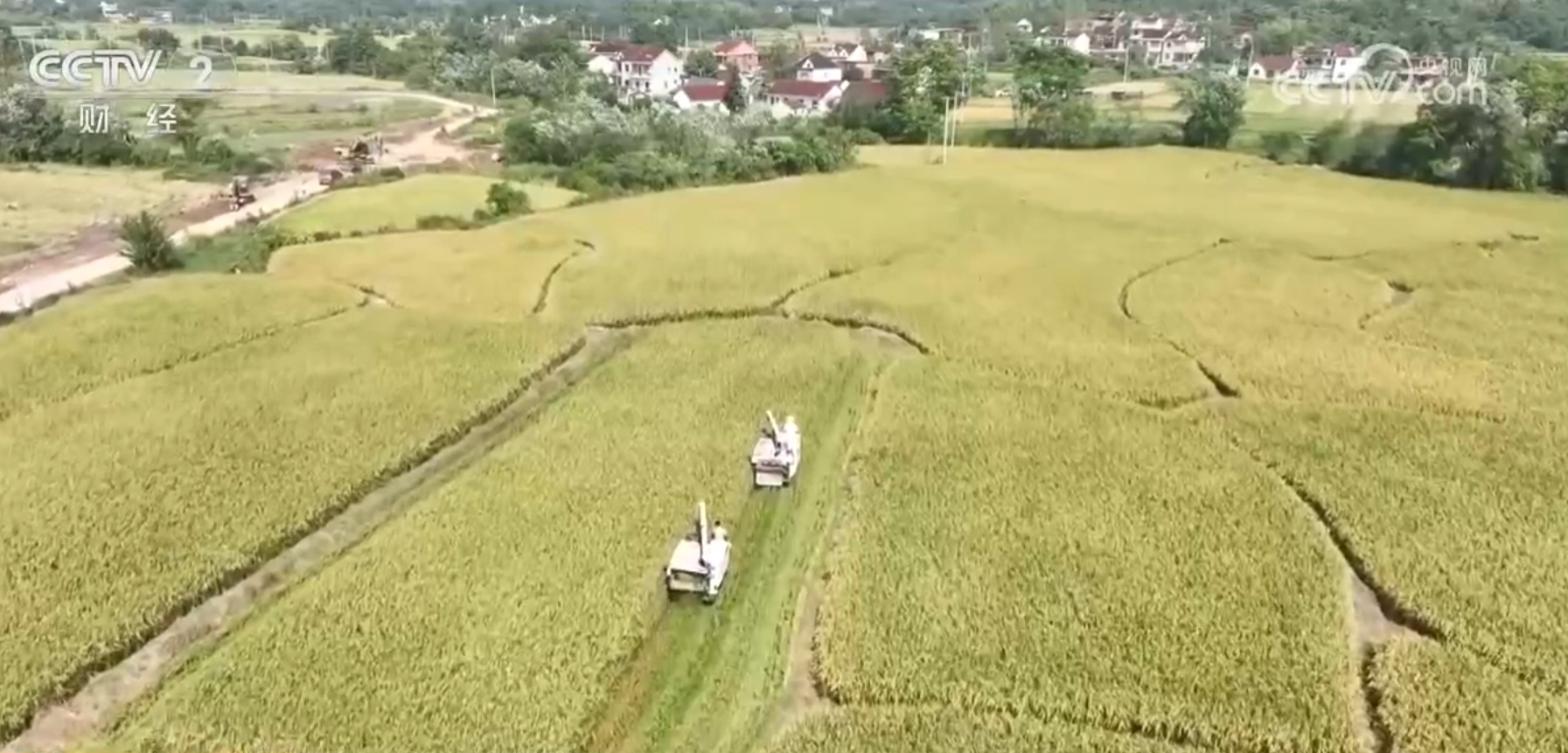 “米袋子”“菜篮子”“果盘子”满满当当 希望的田野上一片好“丰”光 “米袋子”“菜篮子”“果盘子”满满当当 希望的田野上一片好“丰”光