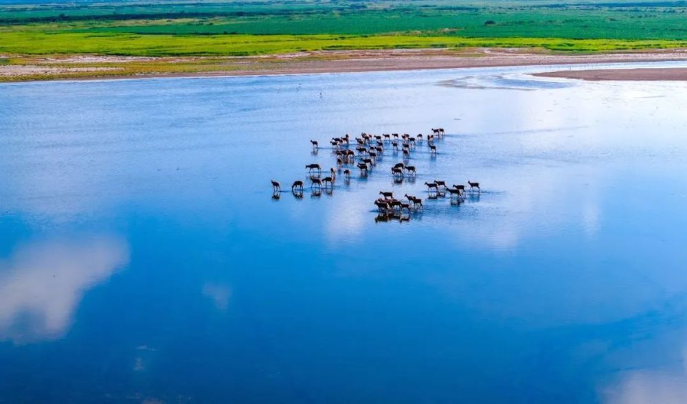 又有9座高铁站,新增这项服务! 又有9座高铁站,新增这项服务!