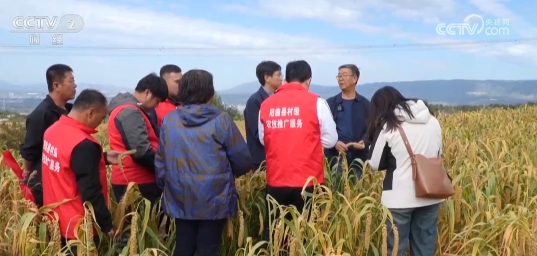 “米袋子”“菜篮子”“果盘子”满满当当 希望的田野上一片好“丰”光 “米袋子”“菜篮子”“果盘子”满满当当 希望的田野上一片好“丰”光