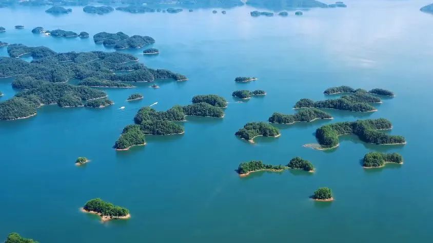 又有9座高铁站,新增这项服务! 又有9座高铁站,新增这项服务!