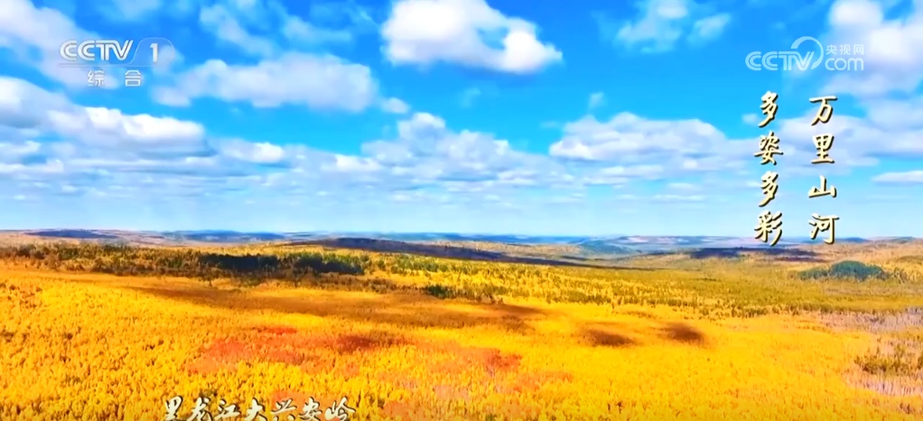 二十四节气·寒露｜斑斓的色彩、丰收的景象，惊艳了深秋