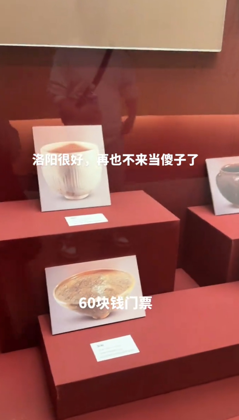 花60元进博物馆“只看到文物照片”？网友大呼上当！最新回应→