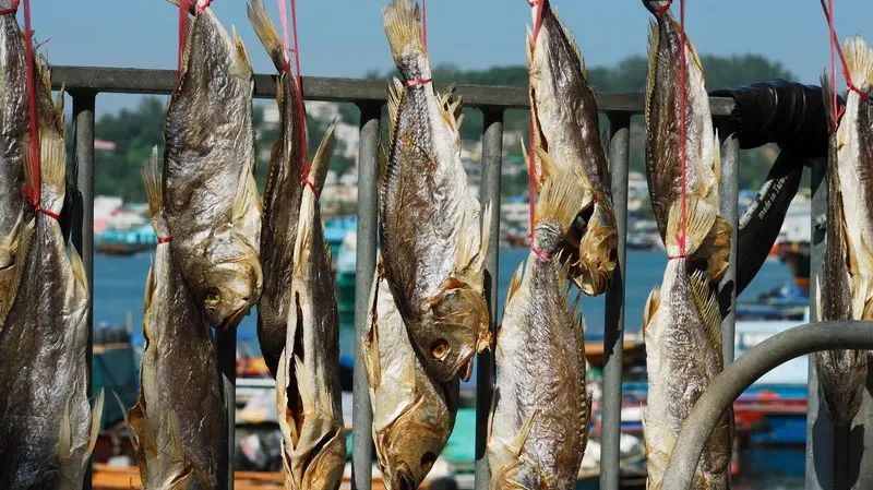 鼻塞、流鼻血？请警惕！！！！这种病50%发生在我国！