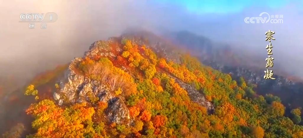 二十四节气·寒露｜斑斓的色彩、丰收的景象，惊艳了深秋