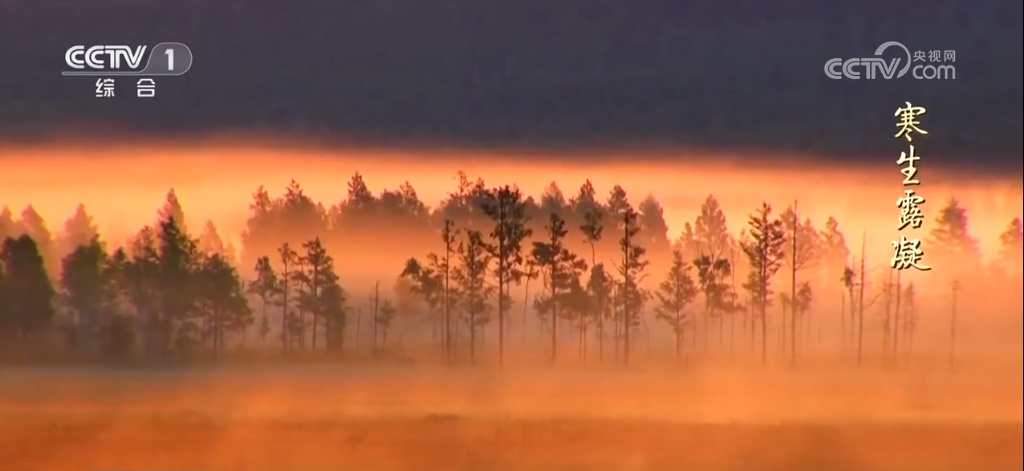 二十四节气·寒露｜斑斓的色彩、丰收的景象，惊艳了深秋