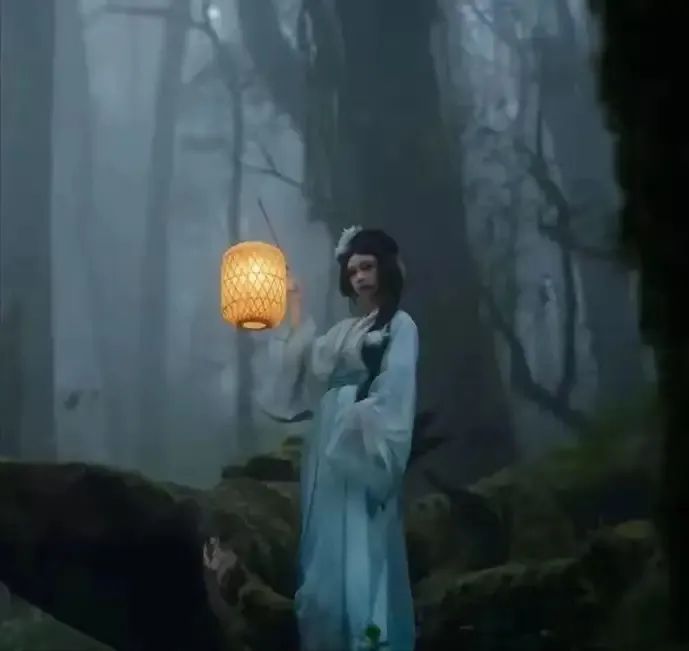 哀牢山成现实版“云南虫谷”？地质工作者：不算神秘，但很独特