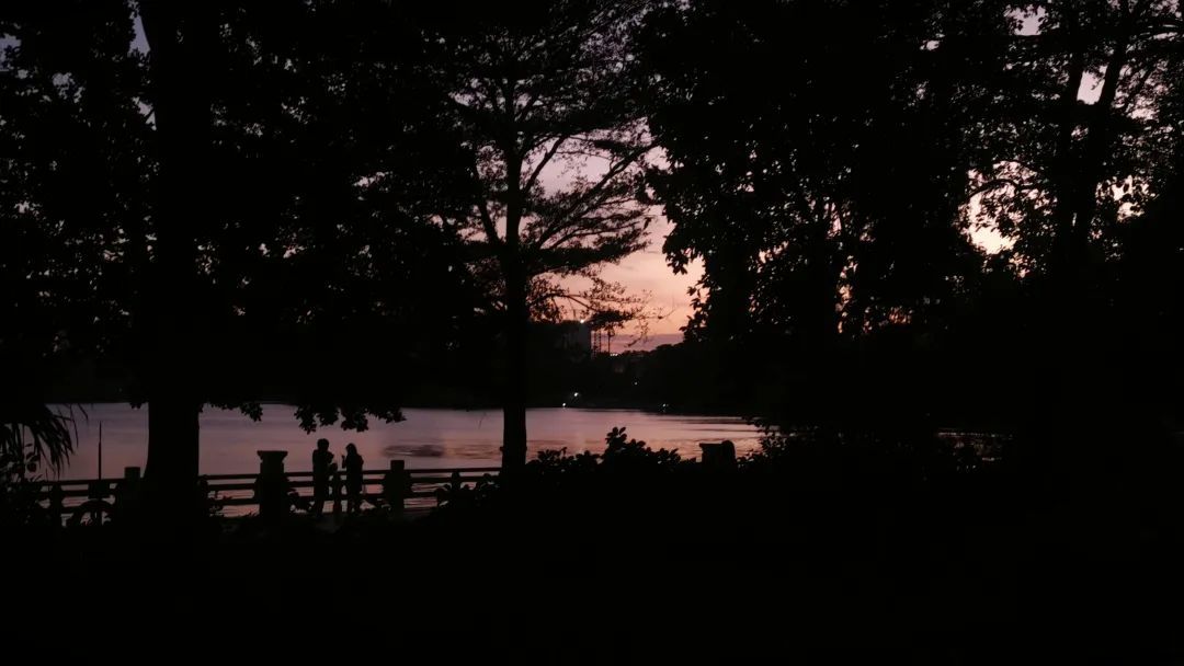 事关重阳节!广州多区发布通告 事关重阳节!广州多区发布通告