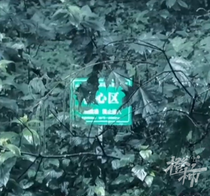 女博主独闯哀牢山露营2天1夜后道歉,当地管护局最新回应 女博主独闯哀牢山露营2天1夜后道歉,当地管护局最新回应