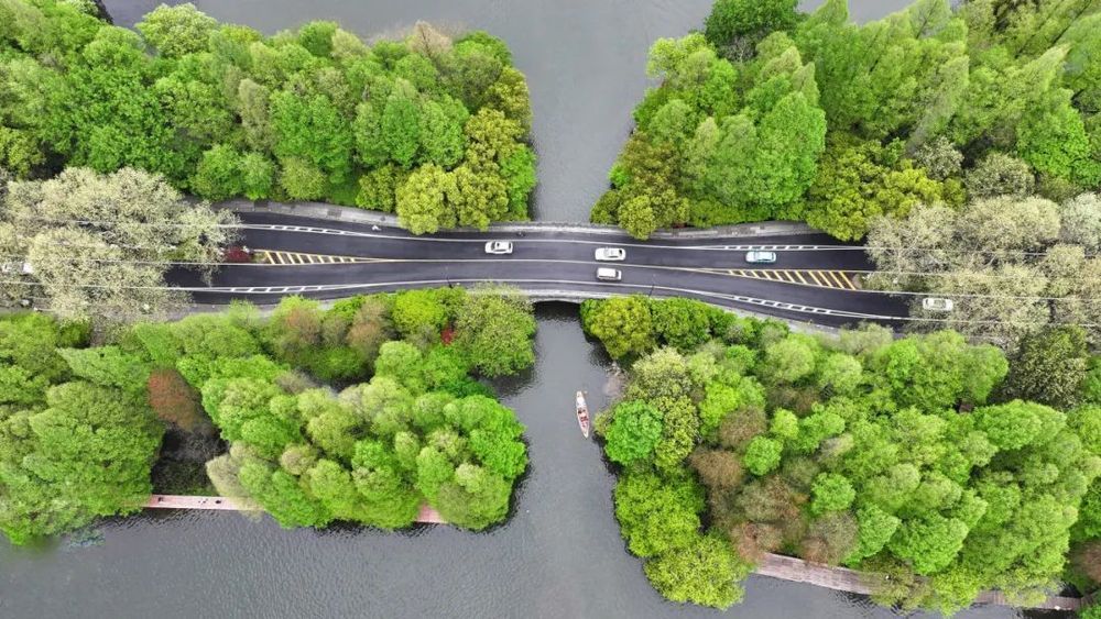 又有9座高铁站,新增这项服务! 又有9座高铁站,新增这项服务!