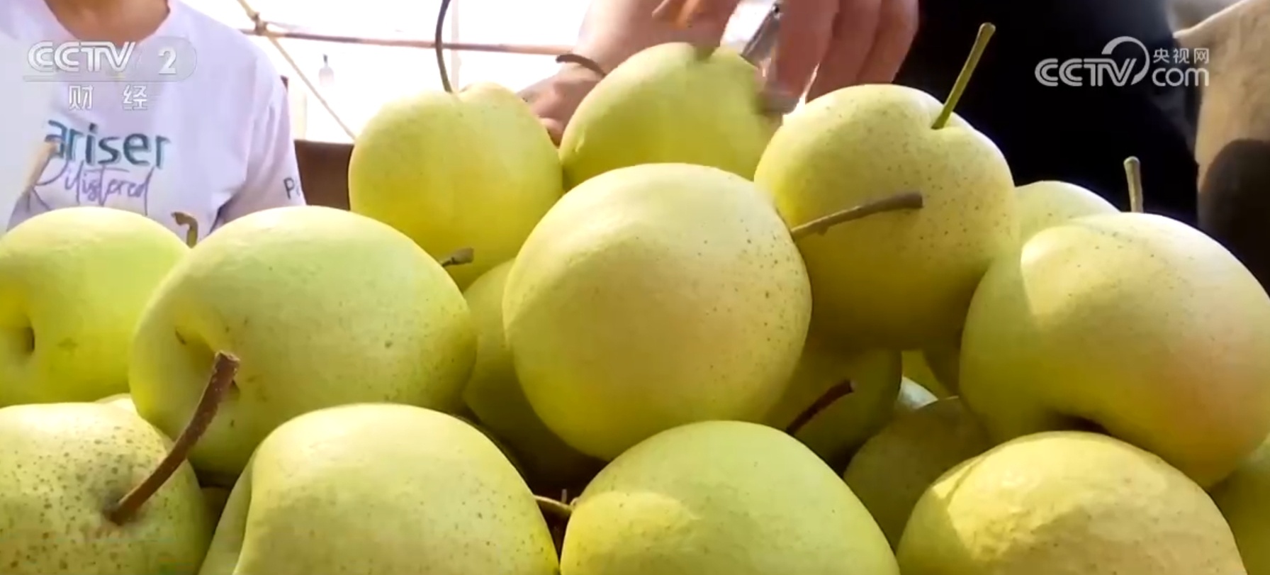 “米袋子”“菜篮子”“果盘子”满满当当 希望的田野上一片好“丰”光 “米袋子”“菜篮子”“果盘子”满满当当 希望的田野上一片好“丰”光