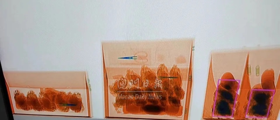 “蟹”绝入境,可能罚款10万澳门元 “蟹”绝入境,可能罚款10万澳门元