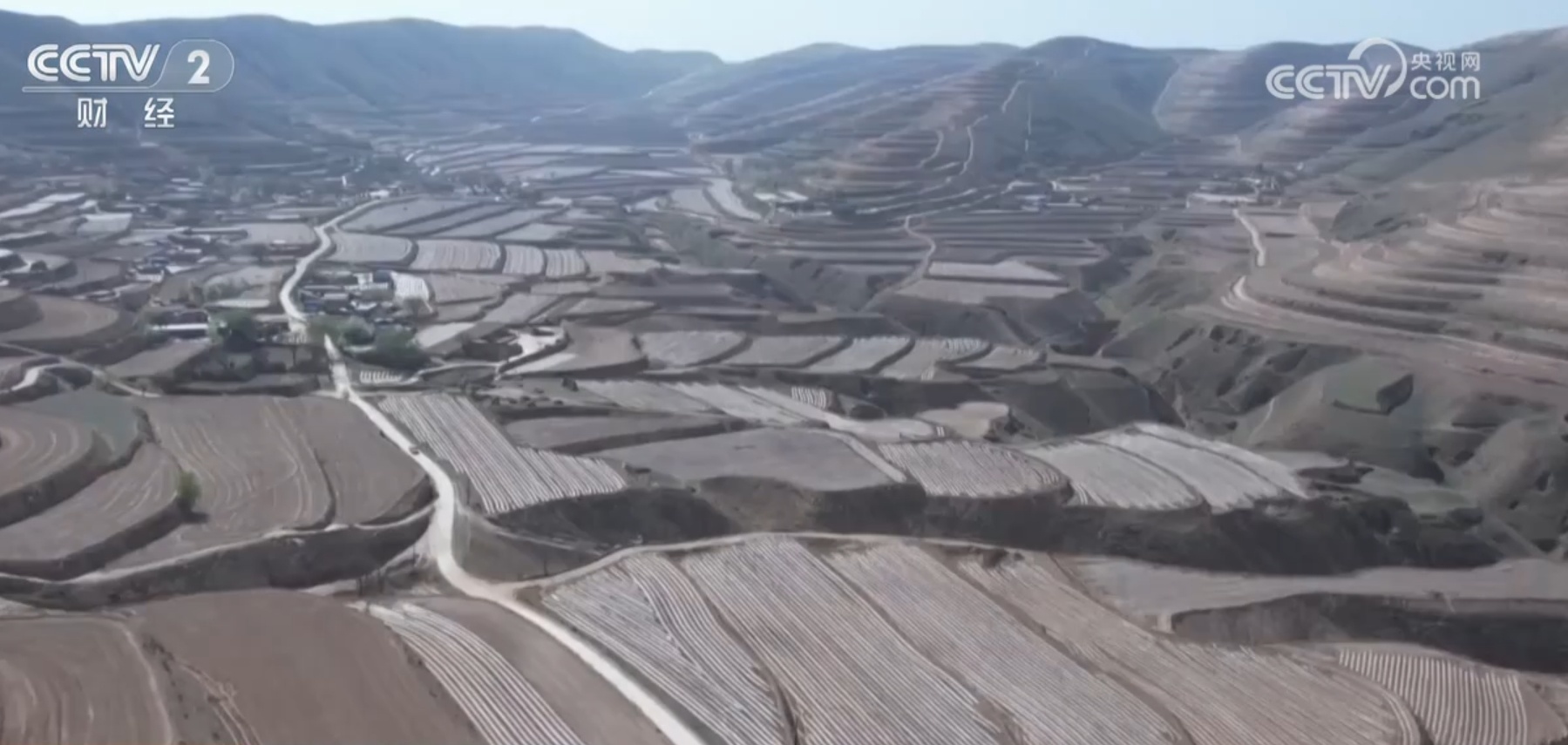 “米袋子”“菜篮子”“果盘子”满满当当 希望的田野上一片好“丰”光 “米袋子”“菜篮子”“果盘子”满满当当 希望的田野上一片好“丰”光