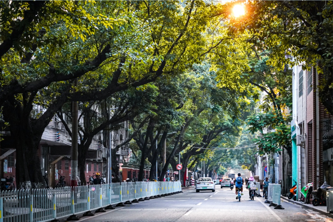 事关重阳节!广州多区发布通告 事关重阳节!广州多区发布通告