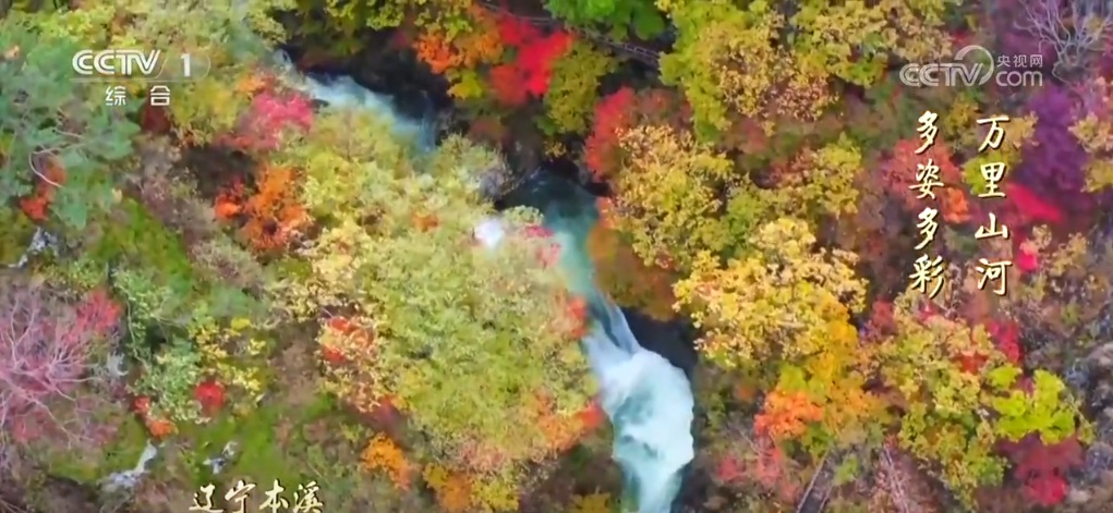 二十四节气·寒露｜斑斓的色彩、丰收的景象，惊艳了深秋