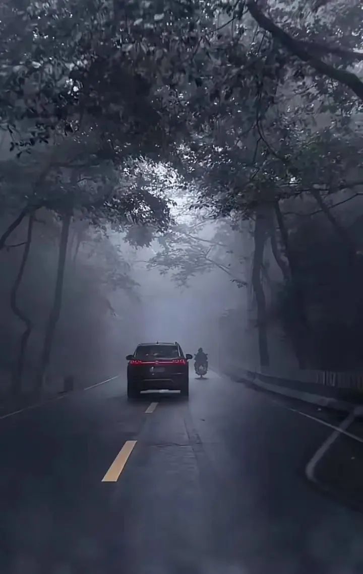 女博主独闯哀牢山露营2天1夜后道歉,当地管护局最新回应 女博主独闯哀牢山露营2天1夜后道歉,当地管护局最新回应