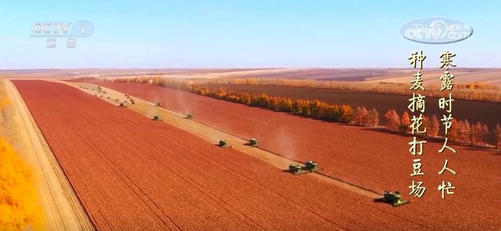 二十四节气·寒露｜斑斓的色彩、丰收的景象，惊艳了深秋