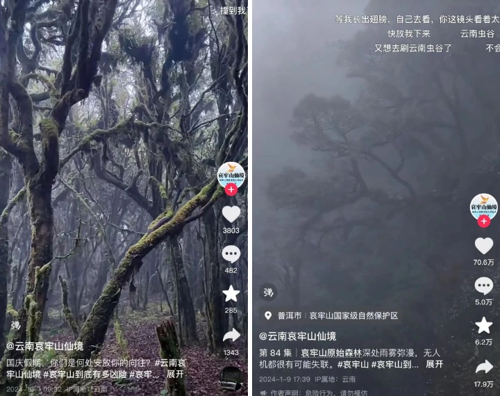 女博主独闯哀牢山露营2天1夜后道歉,当地管护局最新回应 女博主独闯哀牢山露营2天1夜后道歉,当地管护局最新回应