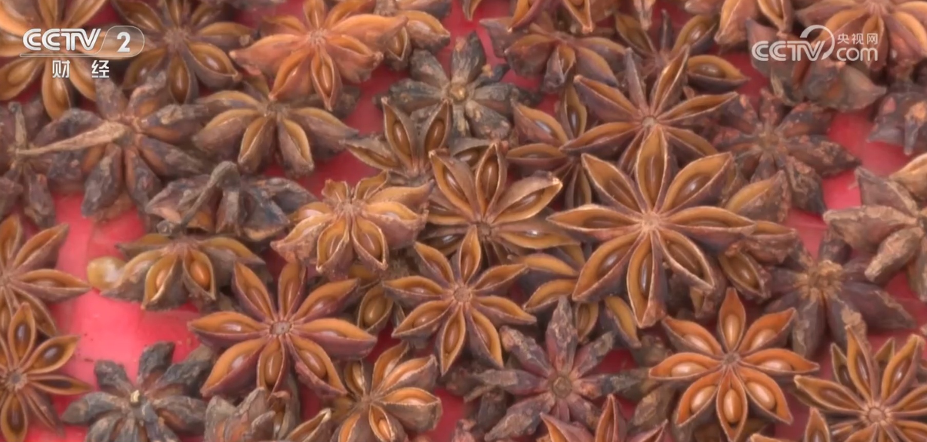 “米袋子”“菜篮子”“果盘子”满满当当 希望的田野上一片好“丰”光 “米袋子”“菜篮子”“果盘子”满满当当 希望的田野上一片好“丰”光