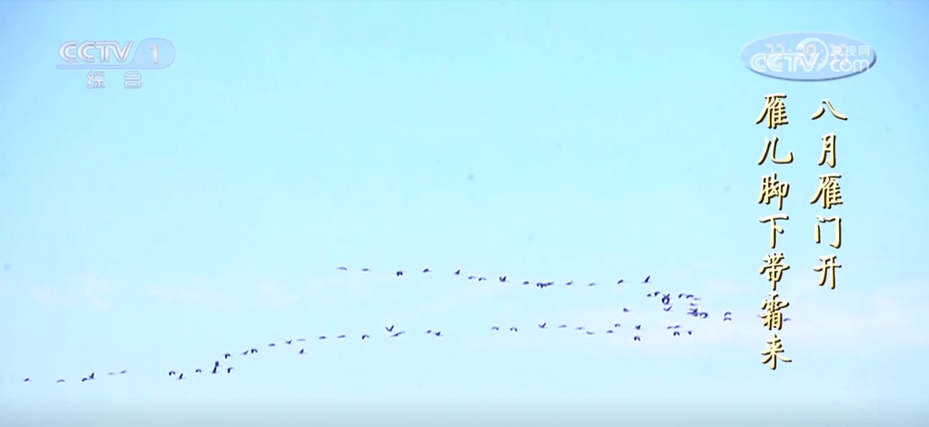 二十四节气·寒露｜斑斓的色彩、丰收的景象，惊艳了深秋