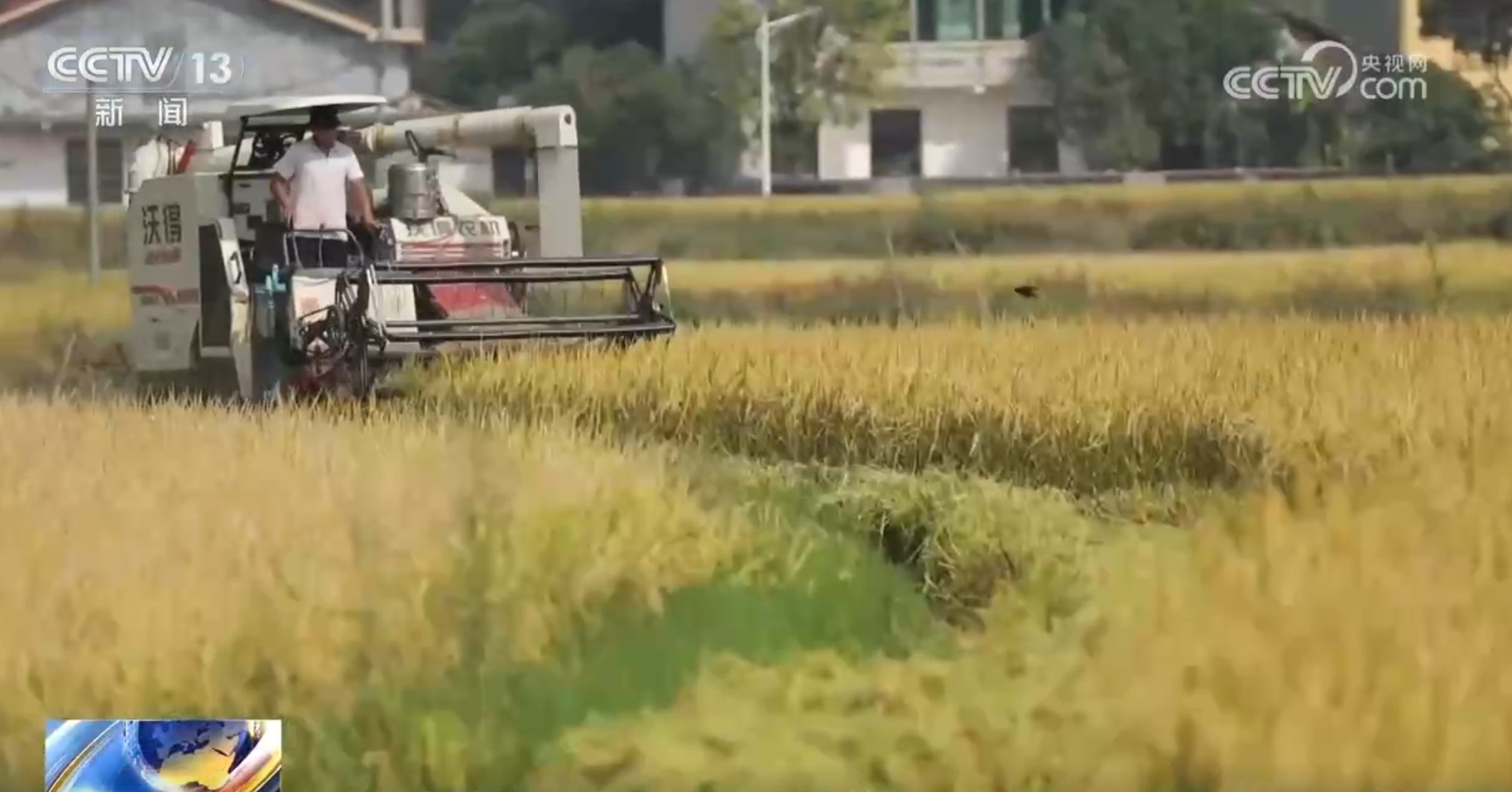 粮食主产区因地制宜探索新“稻”路 广袤田野上绘就好“丰”景