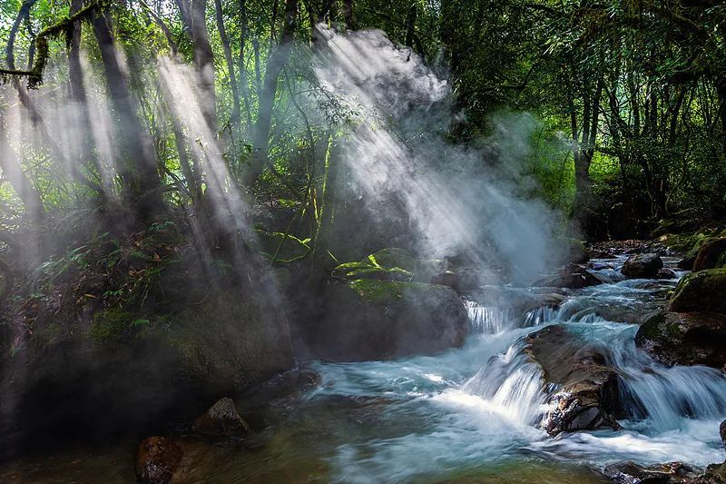 突然“爆红”的哀牢山是什么山?这些登山安全须知请记好! 突然“爆红”的哀牢山是什么山?这些登山安全须知请记好!