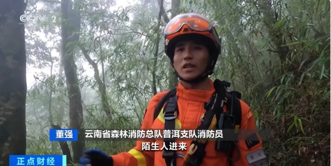 记者探访，突遇浓雾！突然爆红的哀牢山，究竟什么样？